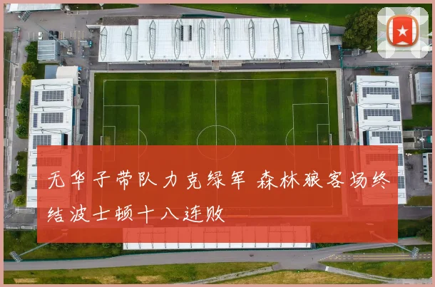 无华子带队力克绿军 森林狼客场终结波士顿十八连败