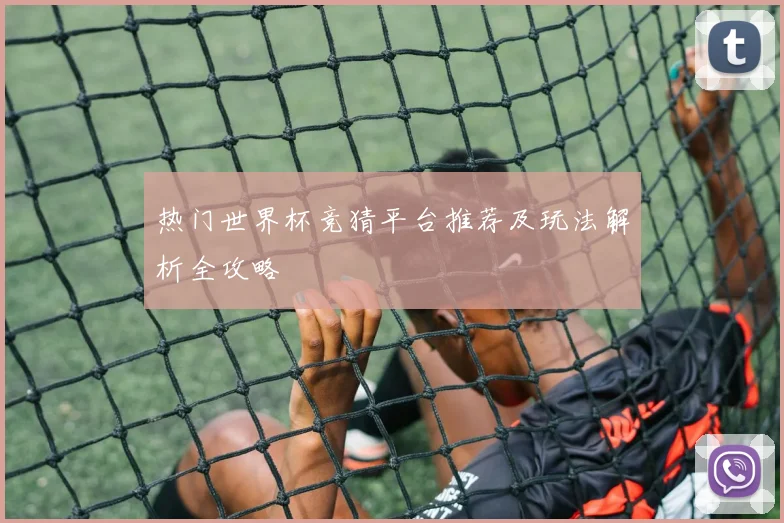 热门世界杯竞猜平台推荐及玩法解析全攻略