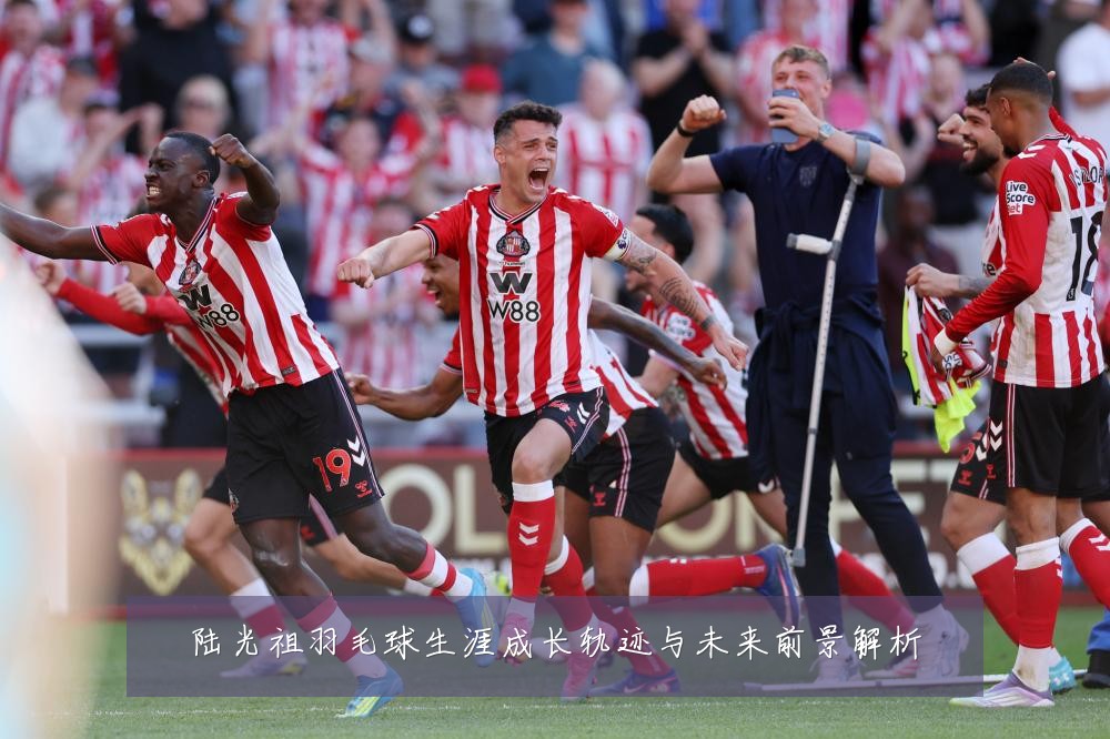 陆光祖羽毛球生涯成长轨迹与未来前景解析
